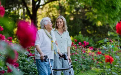 How Families Stay Involved After the Move: Insights from Willow Falls Senior Living